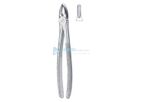 Kellin - Model 40-00001-00 - English Patterns Tooth Extracting Forceps