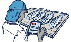 ThisFish - Data Collection Software