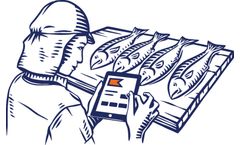 ThisFish - Digitize Production Data Software
