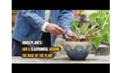 How to use Carbon Gold Biology Blend - Video