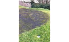 Biochar Lawn, Tree & Soil Improvers