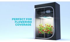 4Seasons Quantum PAR 450w LED Grow Light - Video