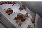 Polar Systems - Crustaceans