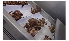 Polar Systems - Crustaceans