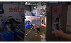 FCM258 Fish Filleting& Scaling Machine - Video