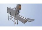 Boleto - Fish Gutting Machine