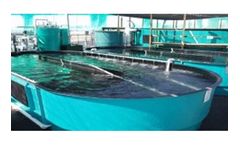 Gemini - Model OVAL Series - Oval Culture Tanks