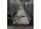 RYCO - Model 103 - Plain Belt Conveyor