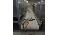 RYCO - Model 103 - Plain Belt Conveyor