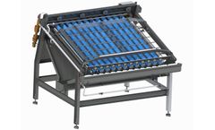 Martak - Model MAR-C12 - Shrimp After Peeler