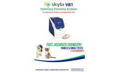 Skyla Vb1 - Flyer