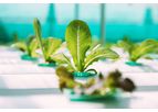 Urban Farming Software