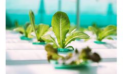 Urban Farming Software