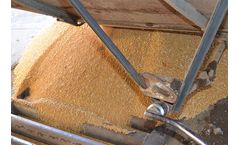 Seed Cleaning Services