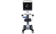 Diagnovision - Model PT-50C - Portable Color Doppler System