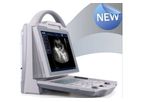 Diagnovision - Model KX-5600 Vet - Ultrasound Machine Vet