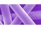 Model Fiber Size - Mimicking Nature with Absorbable Polymers