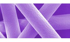 Model Fiber Size - Mimicking Nature with Absorbable Polymers