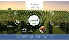 Agricolus - Version GrapeDSS - Solution for Vineyard Management Brochure