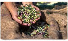 Agricolus - Version Oliwes - Solution for an Effective Management of Olive Grove