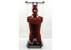 RSD - Model Phantom - Alderson Radiation Therapy (ART) Device
