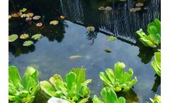 Model EcoKlear - Algae Weed