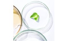 Origin by Ocean - Model Caerulo - Sodium Alginate