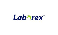 Maintenance Contracts Services