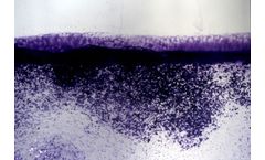 Separ Chemie - Flotation Agents