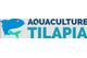 Aquaculture Tilapia
