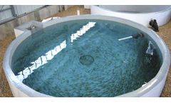 Nursery Tank