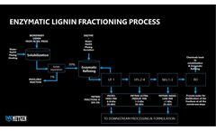 Model Metnin - Lignin Refining Technology