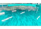 SEAWATER Cubes - Recirculation Technology