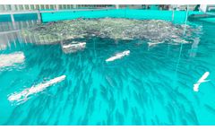SEAWATER Cubes - Recirculation Technology