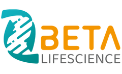 Unveiling the Role of CD73: A Key Player in Immune Regulation and Beyon