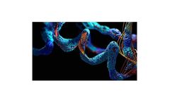 Beta Lifescience - Model BLPSN-4689 - Recombinant Human TSHR Protein (His Tag)