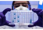 Beta Lifescience - Model AKC-0004 - 2019-nCoV Spike S1-RBD IgG & IgM ELISA Kit