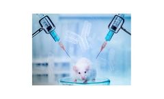 Antibody Production Services