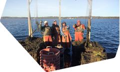 CPF - Aquaculture Tanks