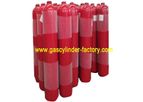 Hongsheng - Model 68L - CO2 Oxygen Argon Bottles Liquid Carbon Dioxide Cylinders