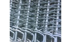 Risen - Spiral Grid Belt