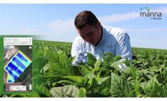 Manna Success story - Green Bean - Mexico - Video
