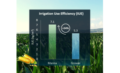 Proven Results - Corn