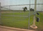 Model FiberSensor - Single Fiber Optic To Detect Intrusion/Motion on Perimeter Fencing