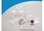 Milenia - Model Ascaris - IgG ELISA kit