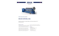 Bergen - Model B36:45V - Medium Speed Generating Set Datasheet
