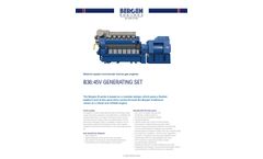 B36:45V Gas Generating Set Datasheet