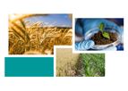 Soil Microbiome Analysis Services