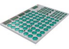 ECOshrimp - Recirculating Aquaculture System (RAS) Technology