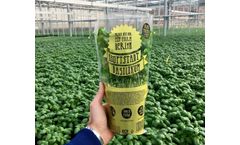 Aquaponic Systems